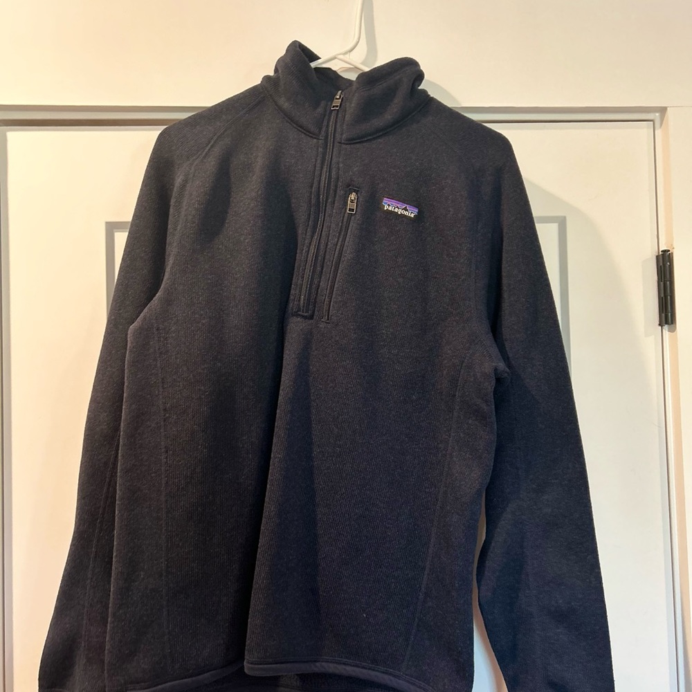 Blue Patagonia men’s better sweater.